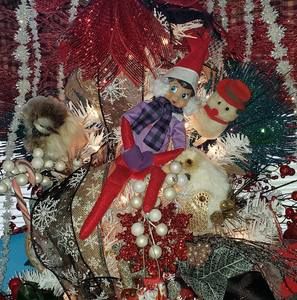 Meet your Posher, Teresa